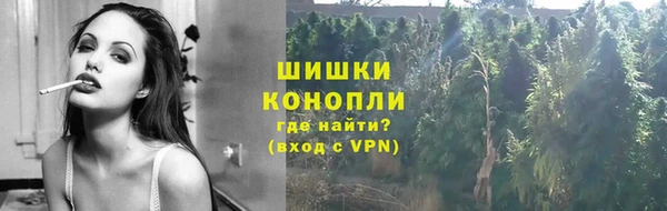 винт Елизово