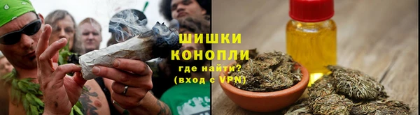 винт Елизово