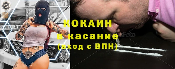 винт Елизово