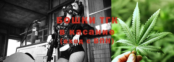 винт Елизово